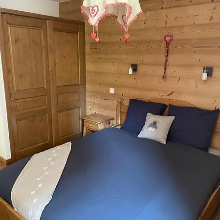 T2 Vue Sur Le Parc De La Vanoise