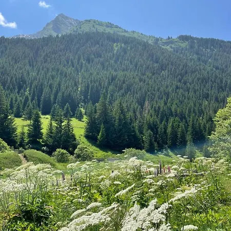 T2 Vue Sur Le Parc De La Vanoise * La Plagne