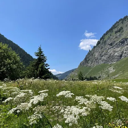 T2 Vue Sur Le Parc De La Vanoise * 拉普拉涅