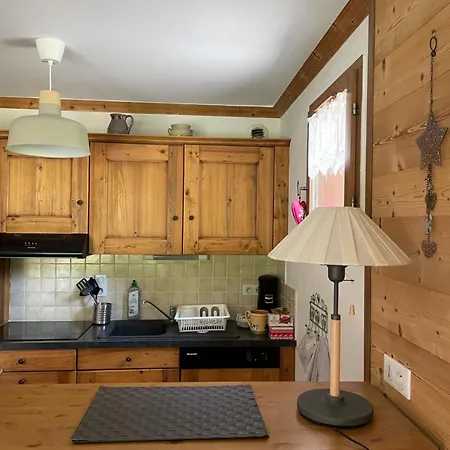 T2 Vue Sur Le Parc De La Vanoise * 拉普拉涅