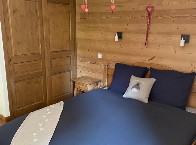 T2 Vue Sur Le Parc De La Vanoise