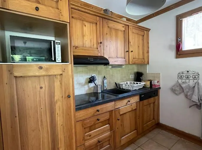 T2 Vue Sur Le Parc De La Vanoise *