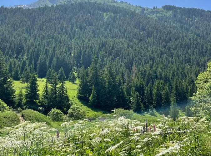 T2 Vue Sur Le Parc De La Vanoise * 拉普拉涅