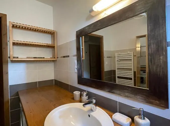 T2 Vue Sur Le Parc De La Vanoise 拉普拉涅