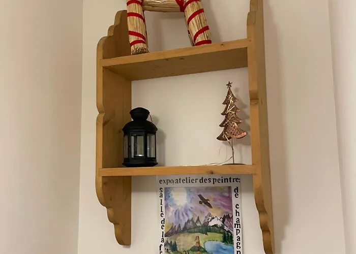 T2 Vue Sur Le Parc De La Vanoise 公寓