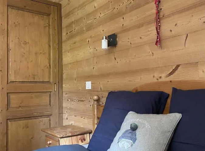 T2 Vue Sur Le Parc De La Vanoise *