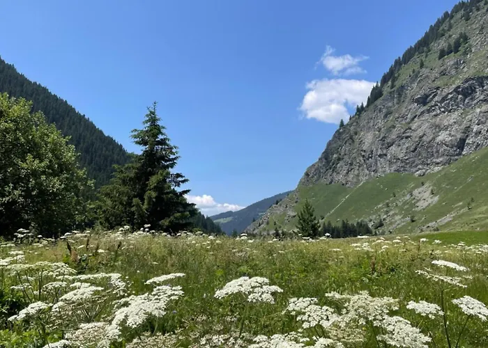 T2 Vue Sur Le Parc De La Vanoise * Ла-Плань