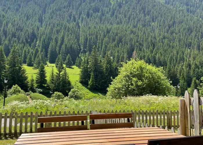 T2 Vue Sur Le Parc De La Vanoise