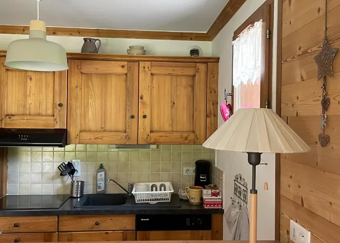 T2 Vue Sur Le Parc De La Vanoise * Ла-Плань